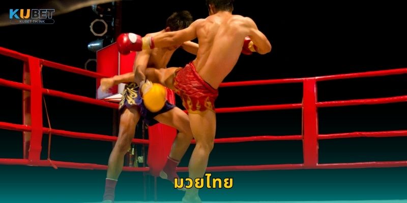 มวยไทย มรดกแห่งศิลปะการต่อสู้ – สายเลือดนักสู้ที่ Kubet